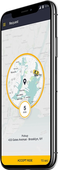taxi_dispatch_app_cost